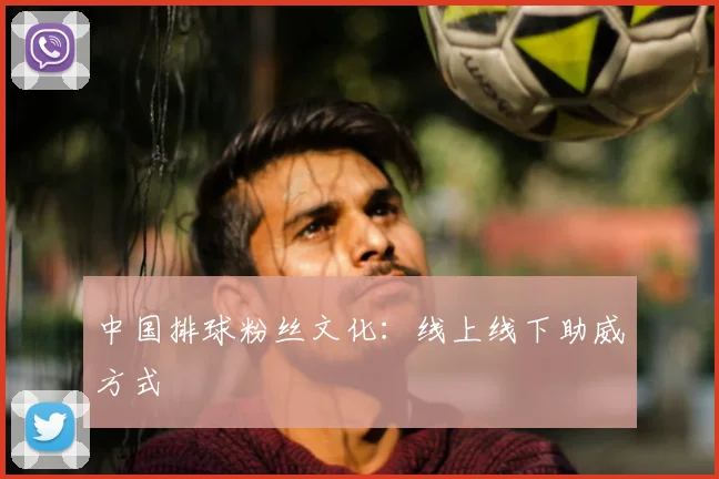 中国排球粉丝文化：线上线下助威方式