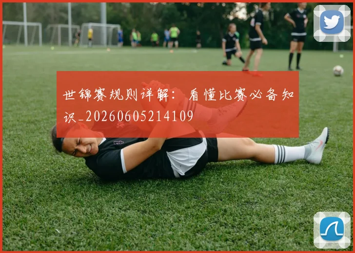 世锦赛规则详解：看懂比赛必备知识_20260605214109