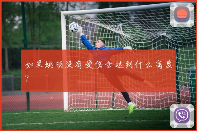 如果姚明没有受伤会达到什么高度？